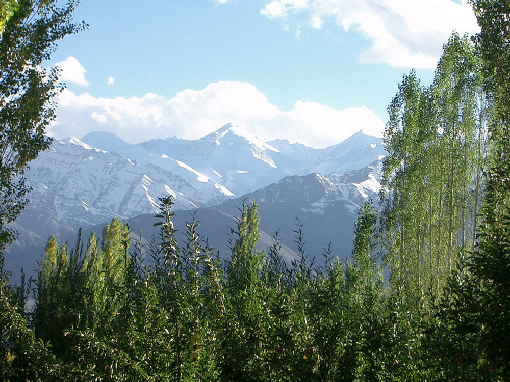 Hotel Shambhala Leh Dış mekan fotoğraf