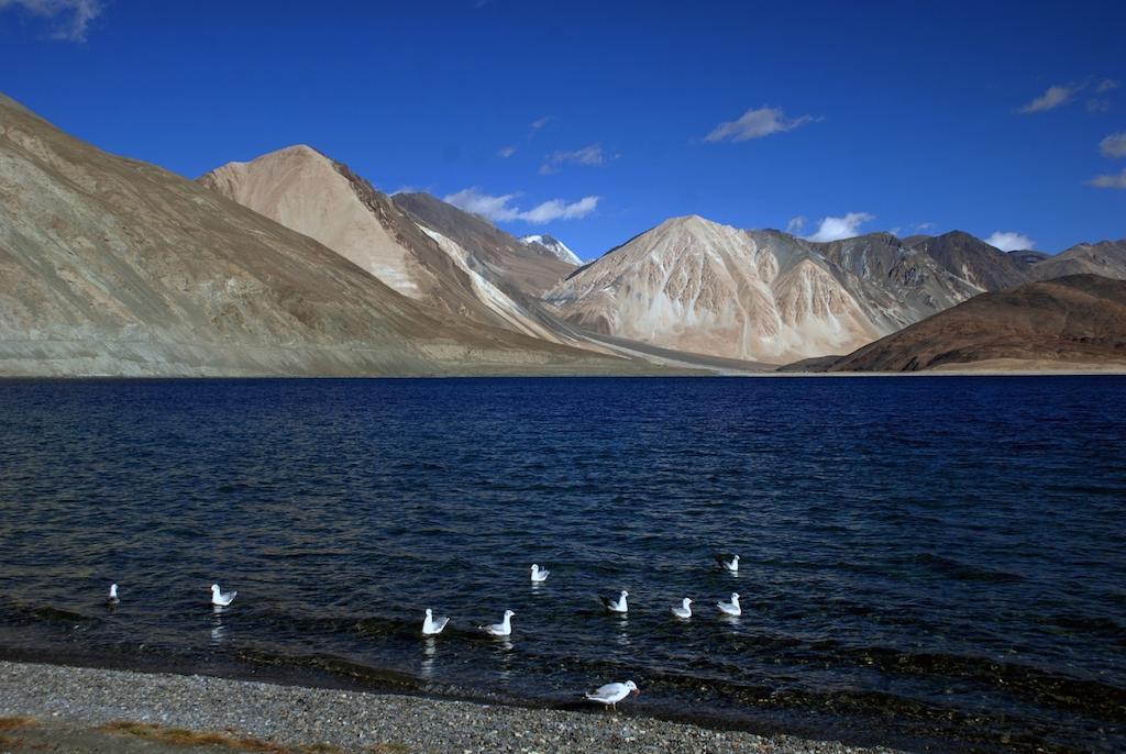 Hotel Shambhala Leh Dış mekan fotoğraf